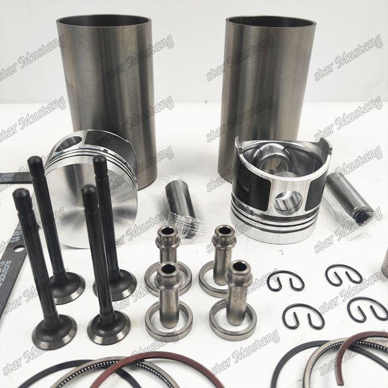 Z500 Zestaw remontowy i odbudowywany Zestaw cylindrowy z tłokami z kształtami szpilkowymi z zakładką zaworów siedzących z zakładką zaworów przewodniczących