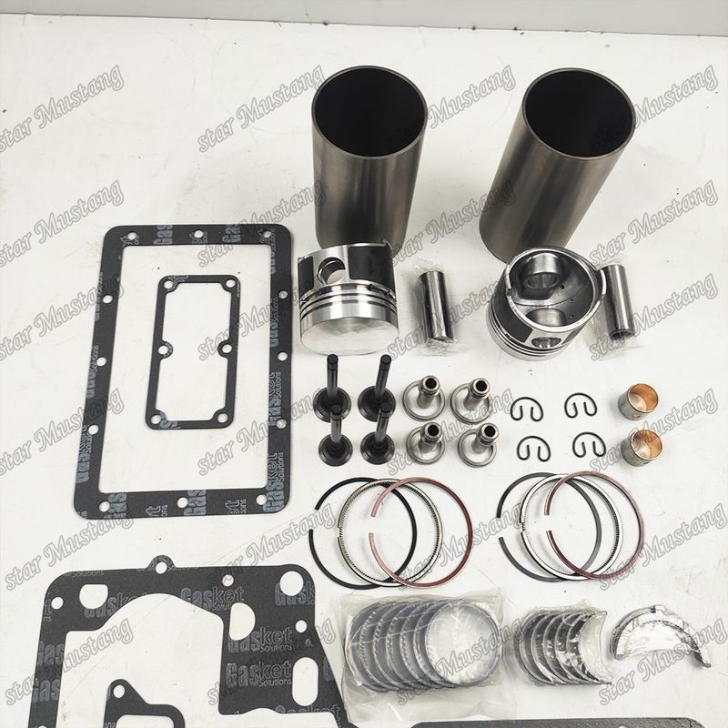 Z500 Zestaw remontowy i odbudowywany Zestaw cylindrowy z tłokami z kształtami szpilkowymi z zakładką zaworów siedzących z zakładką zaworów przewodniczących
