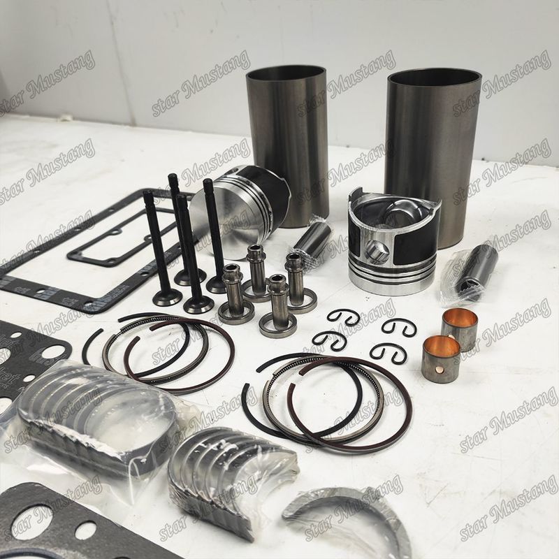 Z500 Zestaw remontowy i odbudowywany Zestaw cylindrowy z tłokami z kształtami szpilkowymi z zakładką zaworów siedzących z zakładką zaworów przewodniczących