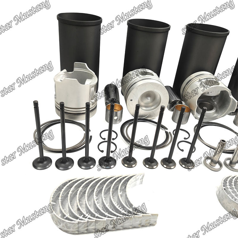 W04DT Zestaw przeglądu i odbudowy tłokowy cylinder liner z kształtownikiem z kształtownikiem z kształtownikiem z kształtownikiem z kształtownikiem do silnika Hino
