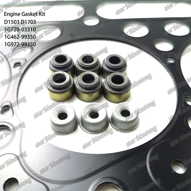 D1503 D1703 Całkowity zestaw uszczelnienia Metalu 1G720-03310 1G462-99350 1G972-99350 Nadaje się do Kubota