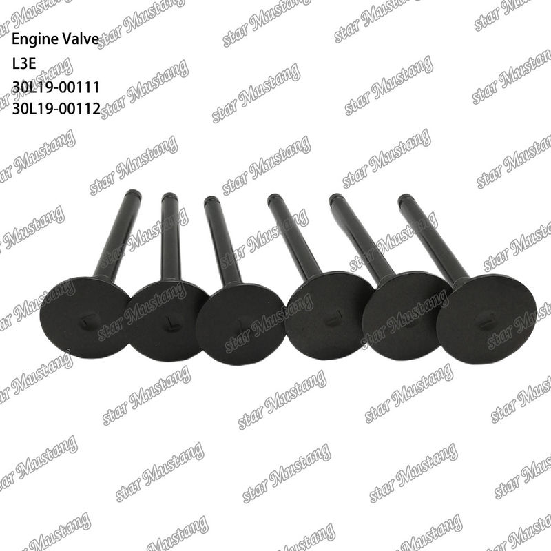 L3E 30L19-00111 30L19-00112 Zawór silnika wysokoprężnego nadający się do części zamiennych Mitsubishi