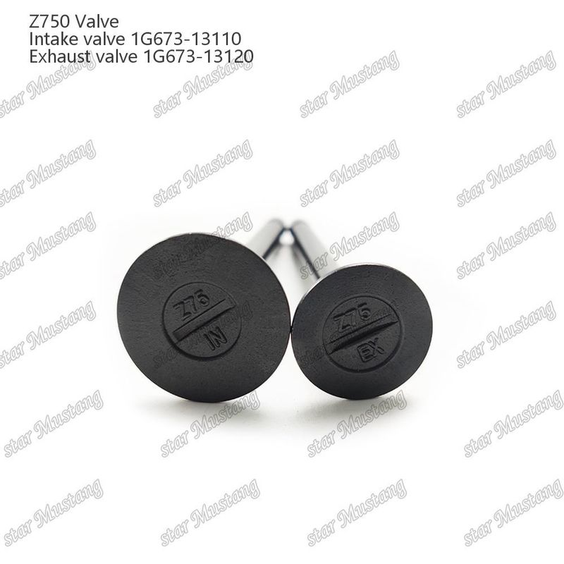 Integral Structure Valve Z750 1G673-13110 1G673-13120 Diesel Engine Part Original Stock z obsługą online