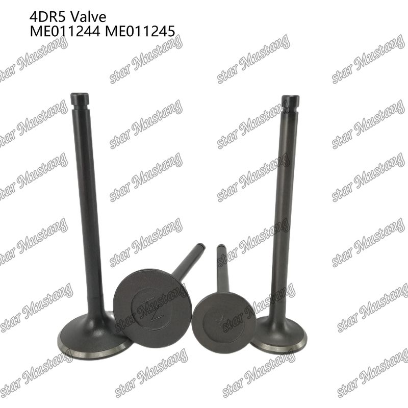Integral Structure Valve 4DR5 IN ME011244 EX ME011245 Część silnika wysokoprężnego