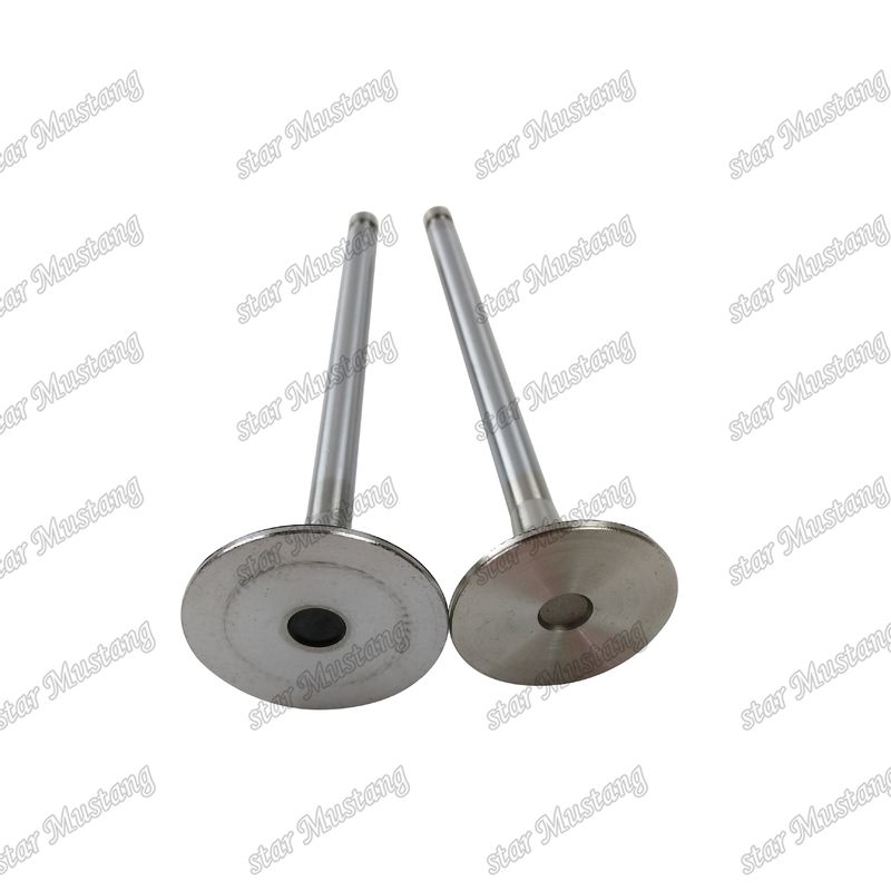 Integral Structure Valve 6M61 ME240748 ME133270 Diesel Engine Part Original Stock z obsługą online