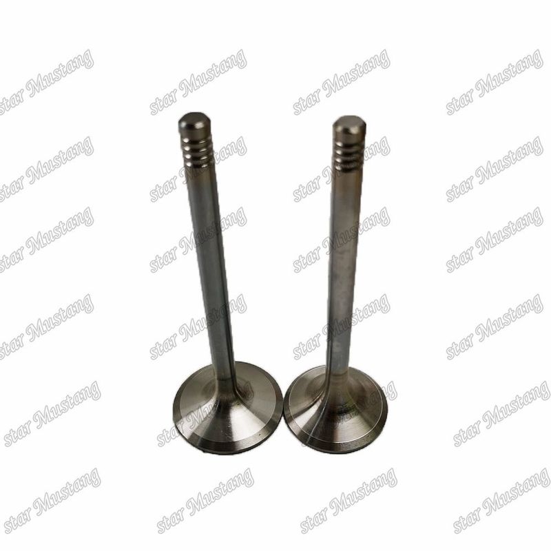 Integral Structure Valve D924 9279578 9279579 Diesel Engine Part Original Stock z obsługą online