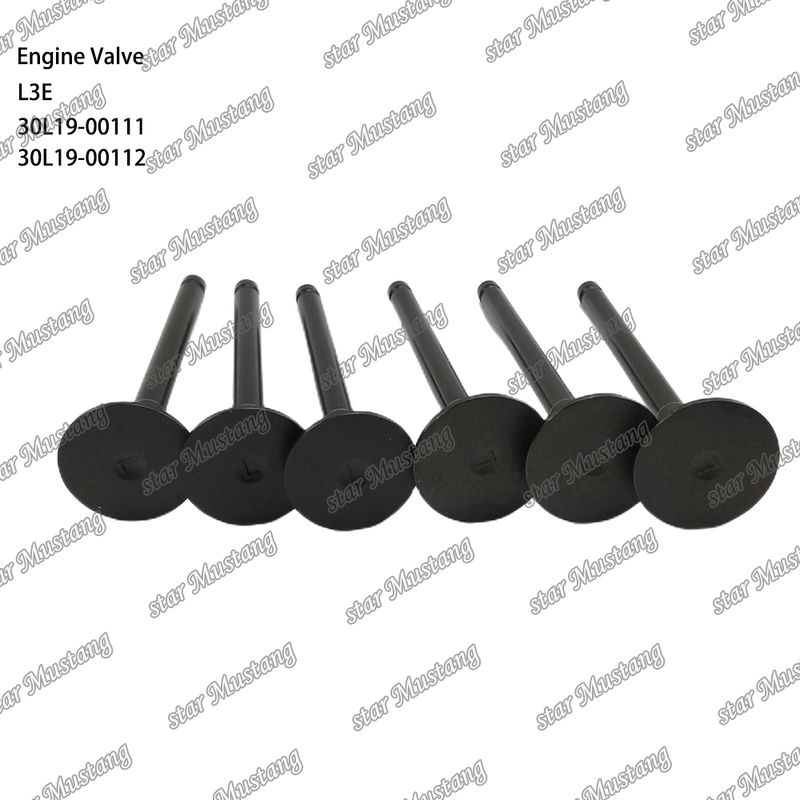 L3E 30L19-00111 30L19-00112 Część silnika wysokoprężnego oryginalny zapas z obsługą online po