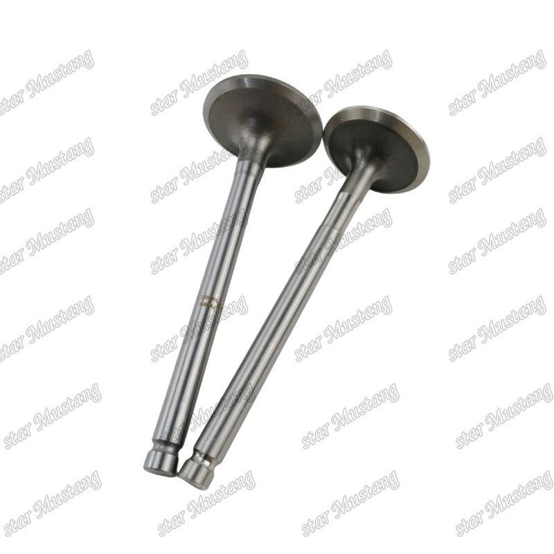 Integral Structure Valve 1104C-44T 3142H071 3142A151 Diesel Engine Part Original Stock z obsługą online
