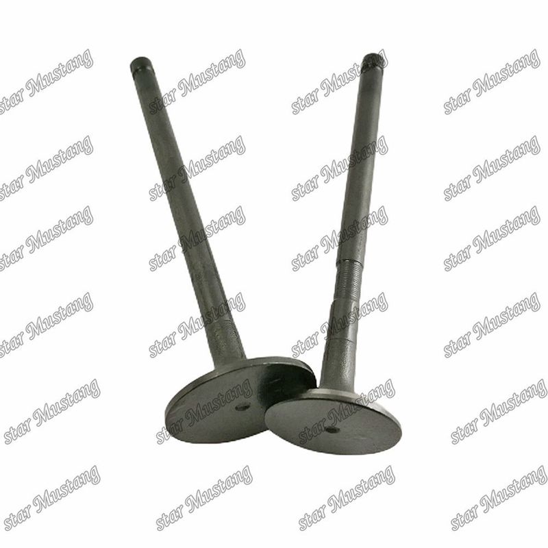 Zawór struktury integralnej 3TNV84T 129005-11100 129508-11100 Część silnika Diesla Oryginalny zapas z obsługą online po