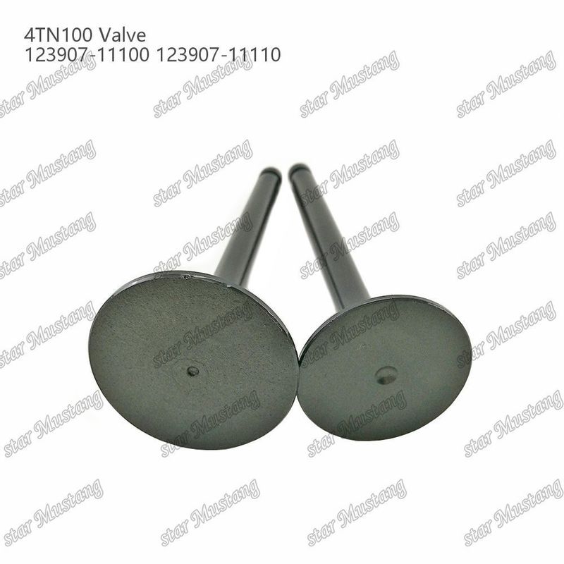 Integral Structure Valve 4TN100 123907-11100 123907-11110 Diesel Engine Part Original Stock z obsługą online