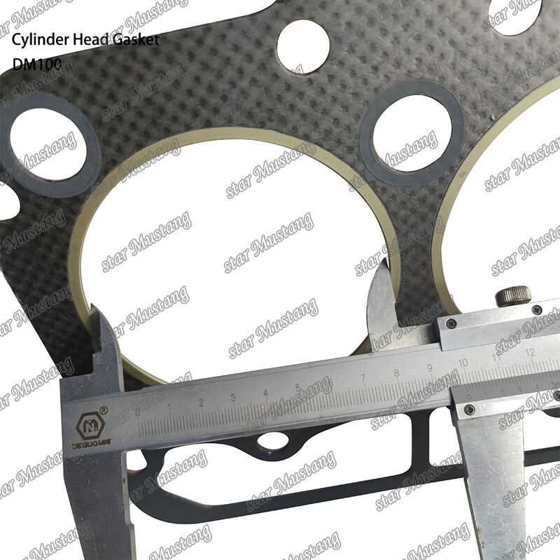Gasketa głowicowa DM100 dla silnika wysokoprężnego z zintegrowaną strukturą i wielkością OEM